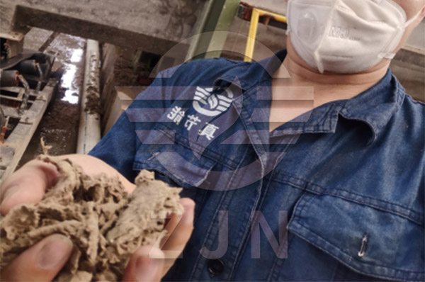 腾博会官网纸浆烘干设备案例现场